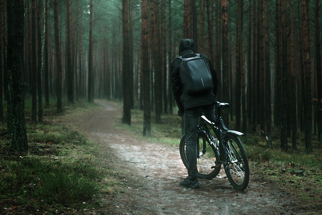 Pyöräilijä metsässä